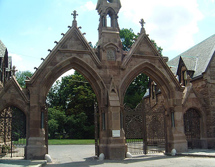 portfolio image 1