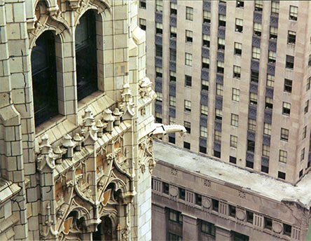 The Woolworth Building